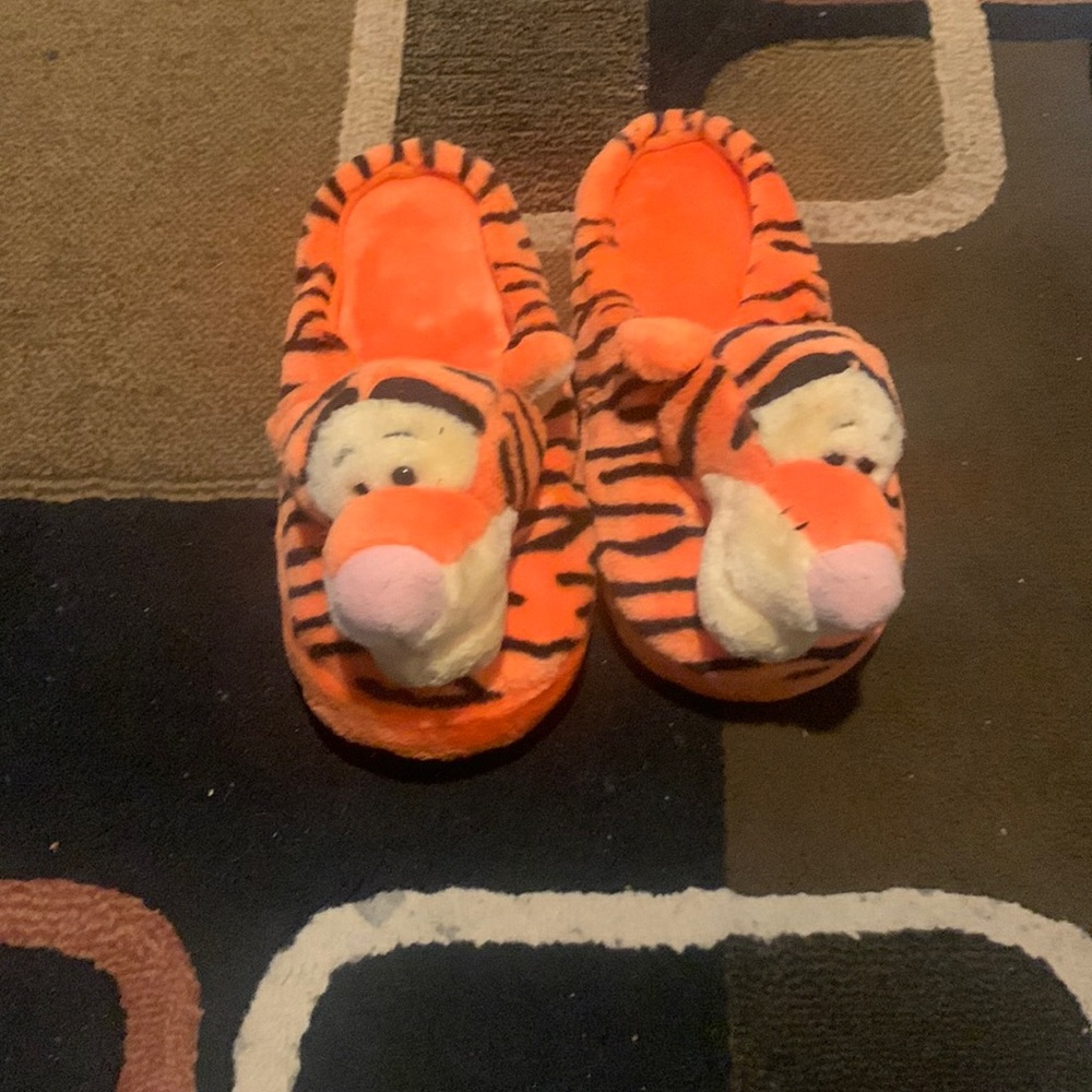 Winnie the Pooh slippers